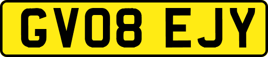 GV08EJY