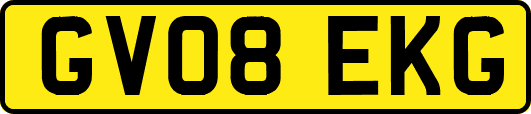 GV08EKG