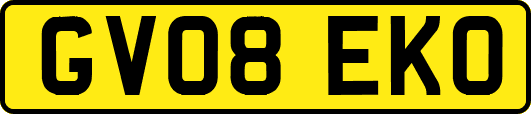 GV08EKO