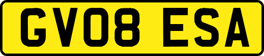 GV08ESA