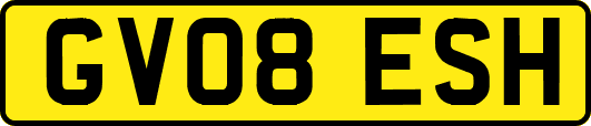 GV08ESH
