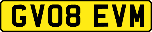 GV08EVM