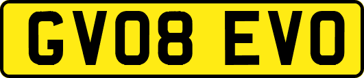 GV08EVO