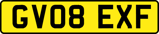 GV08EXF