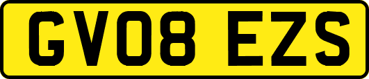 GV08EZS