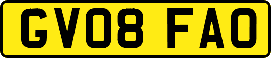 GV08FAO