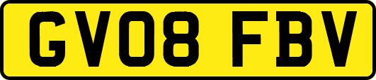 GV08FBV