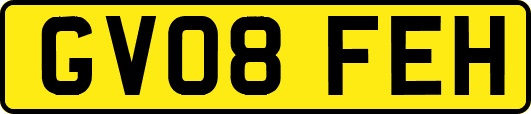 GV08FEH
