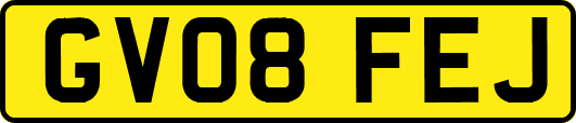 GV08FEJ