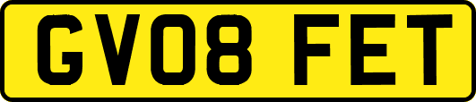 GV08FET