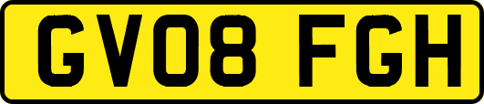 GV08FGH