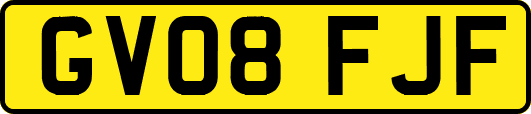 GV08FJF