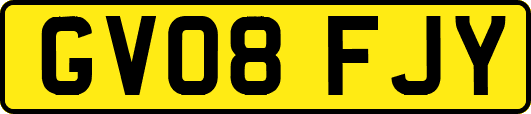 GV08FJY