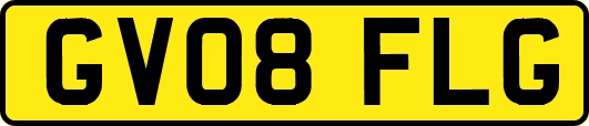 GV08FLG