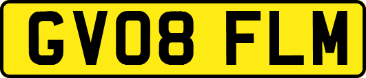 GV08FLM