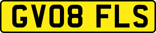 GV08FLS
