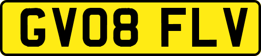 GV08FLV