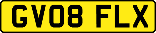 GV08FLX