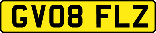 GV08FLZ