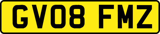 GV08FMZ