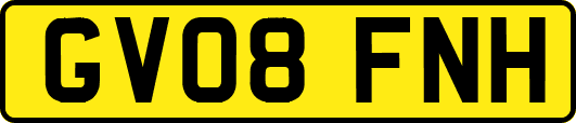 GV08FNH