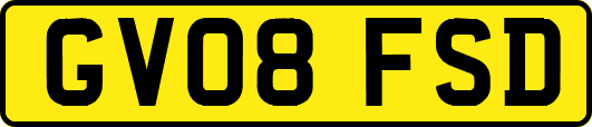 GV08FSD