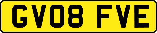 GV08FVE
