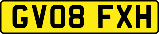 GV08FXH