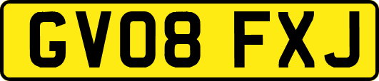 GV08FXJ