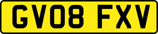GV08FXV