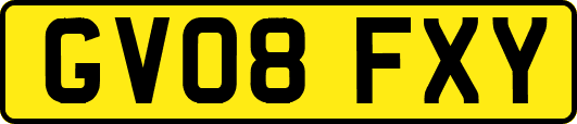GV08FXY
