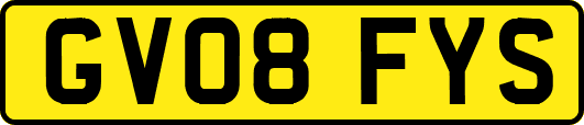 GV08FYS