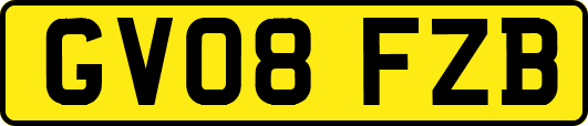 GV08FZB