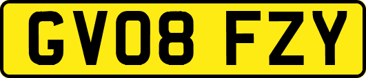 GV08FZY