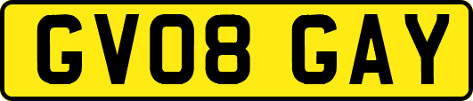 GV08GAY
