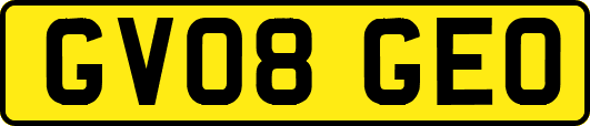 GV08GEO