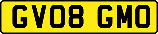 GV08GMO