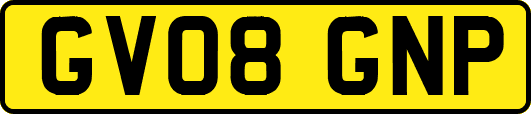 GV08GNP