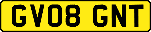 GV08GNT