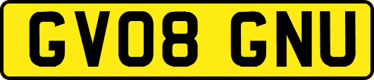 GV08GNU