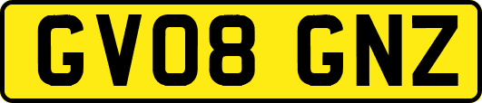 GV08GNZ