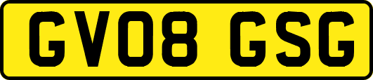 GV08GSG