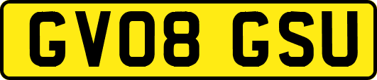 GV08GSU