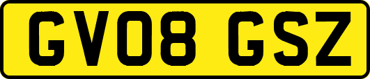 GV08GSZ