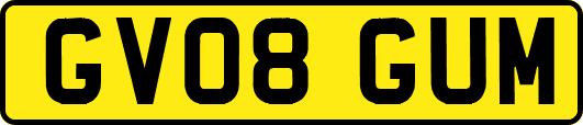 GV08GUM