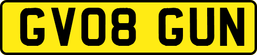 GV08GUN