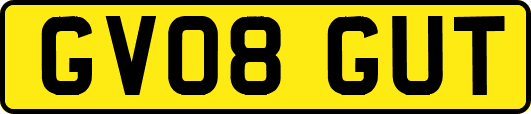 GV08GUT