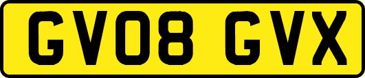 GV08GVX
