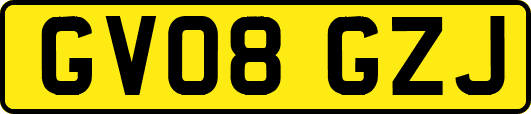 GV08GZJ