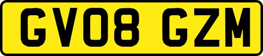 GV08GZM